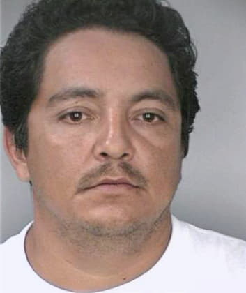 Hernandez Alejandro - Hillsborough County, FL 