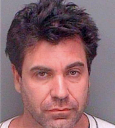 Berdos Panagiotis - Pinellas County, FL 