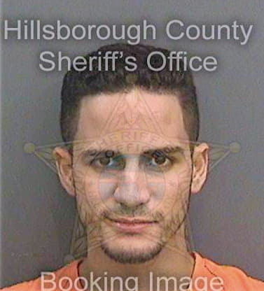 Aguilafundora Addiel - Hillsborough County, FL 