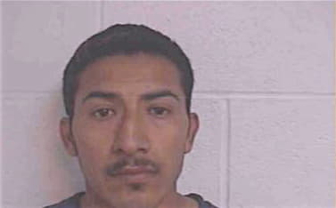 Silva Florencio - Jackson County, GA 