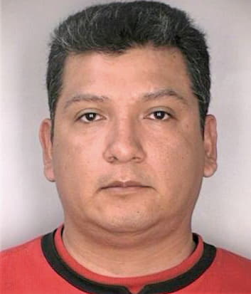 Herreraramirez Gerardo - Hillsborough County, FL 