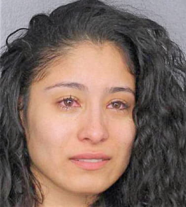 Garcia Michelle - Broward County, FL 