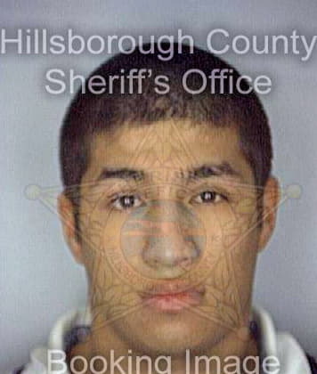 Silva Nicholas - Hillsborough County, FL 
