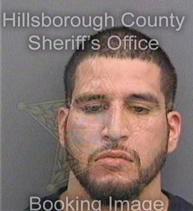 Ramos Eric - Hillsborough County, FL 
