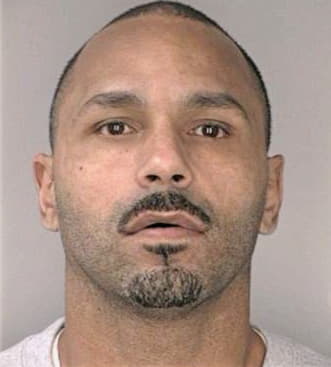 Ortiz Luis - Hillsborough County, FL 