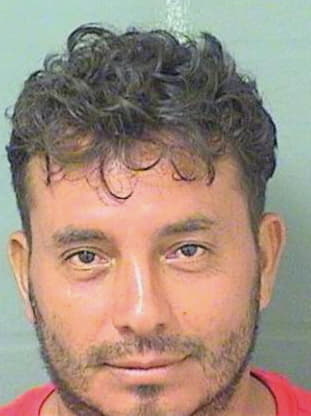 Mejia Pablo - PalmBeach County, FL 