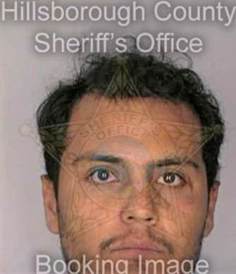 Vegahernandez Ramon - Hillsborough County, FL 