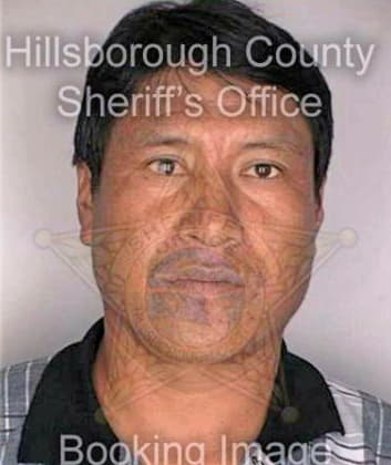 Jimenezgomez Augustine - Hillsborough County, FL 