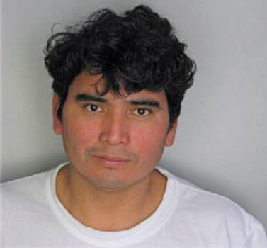Lopez Domingo - Hillsborough County, FL 