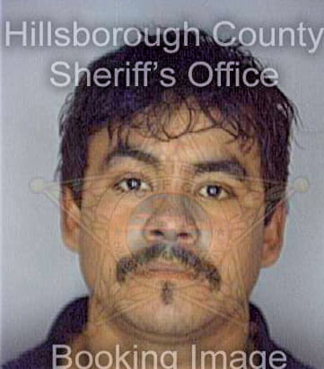 Robles Ramon - Hillsborough County, FL 