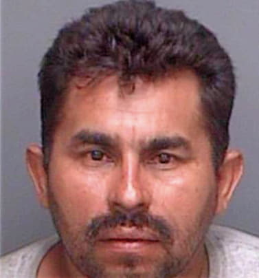 Vasquescigaroa David - Pinellas County, FL 