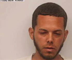 Lopez Figueroa - Chatham County, GA 