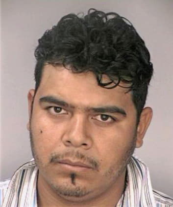 Brionescortez Juan - Hillsborough County, FL 