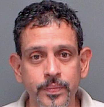 Diaz Roberto - Pinellas County, FL 