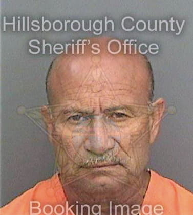 Ramirezgonzalez Arnoldo - Hillsborough County, FL 