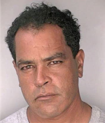 Morales Edwin - Hillsborough County, FL 
