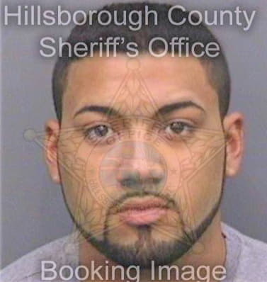 Pagliarello Nicholas - Hillsborough County, FL 