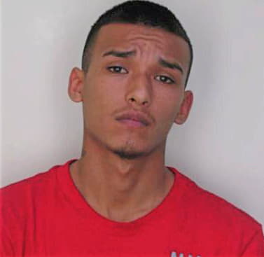 Pizano Omar - Hillsborough County, FL 