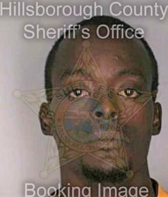 Bowman Reginald - Hillsborough County, FL 