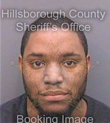 Anderson Alfonso - Hillsborough County, FL 