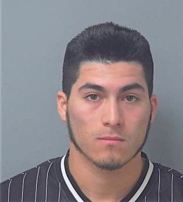 Pena-Pena Cristian - Gwinnett County, GA 
