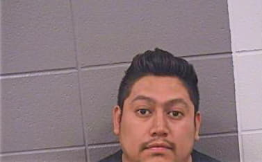 Gonzalez Diego - Cook County, IL 