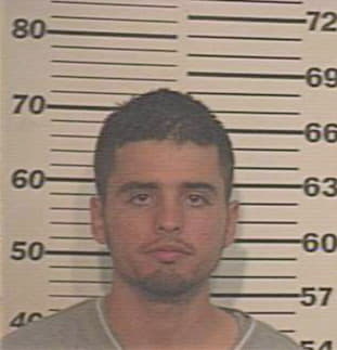 Pineda Miguel - Hidalgo County, TX 