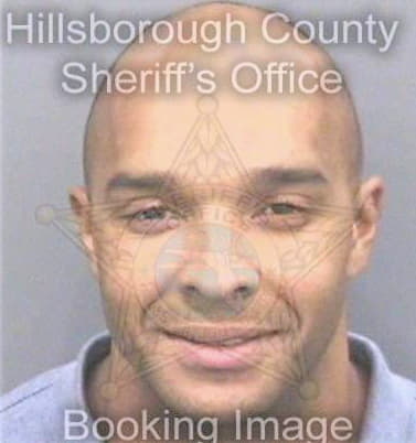 Hanley Nikolaos - Hillsborough County, FL 