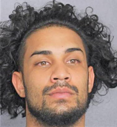 Phillips Sean - Broward County, FL 