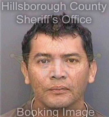 Herrera Wilmer - Hillsborough County, FL 
