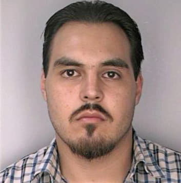 James David - Hillsborough County, FL 