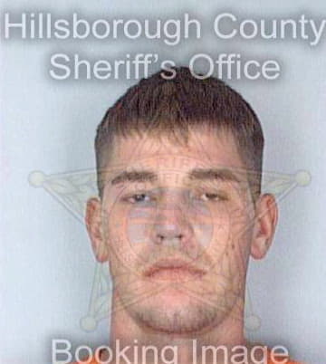 Desantis Jonathan - Hillsborough County, FL 