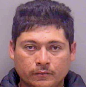 Concilco Jose - Lee County, FL 