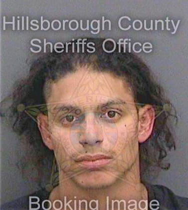Rodriguez Daniel - Hillsborough County, FL 