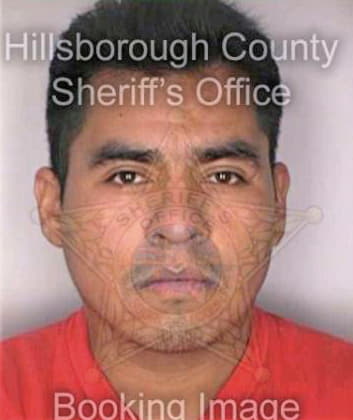 Aguilar Jesus - Hillsborough County, FL 