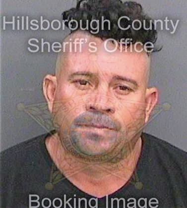 Mejia Carlos - Hillsborough County, FL 