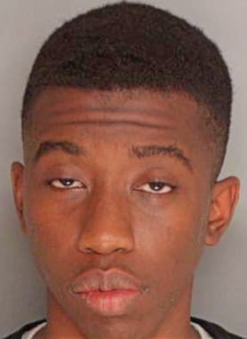 Bryant Logan - Berkeley County, SC 