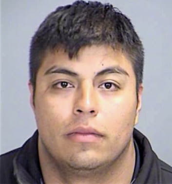 Guerrero Manolo - Brazos County, TX 