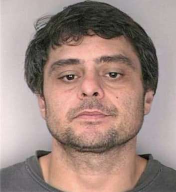 Mccourt Michael - Hillsborough County, FL 