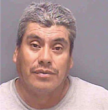 Martinezbarrera Alejandro - Lee County, FL 