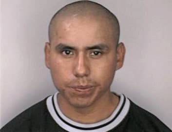 Simon David - Hillsborough County, FL 