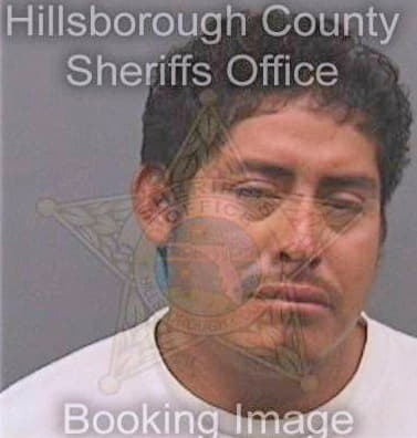 Hernandezlorenzo Edras - Hillsborough County, FL 