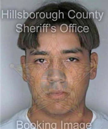 Alvarez Eduardo - Hillsborough County, FL 