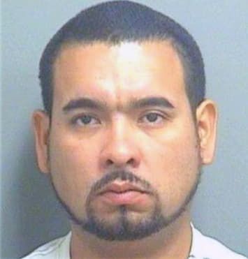 Torres Fernando - PalmBeach County, FL 