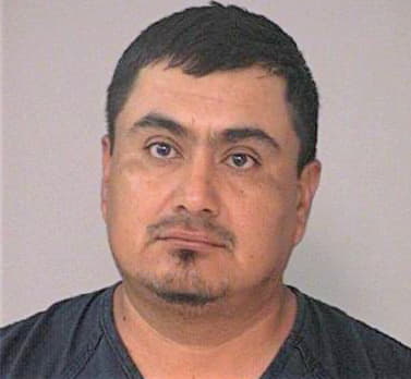 Castillo Leandro - FortBend County, TX 