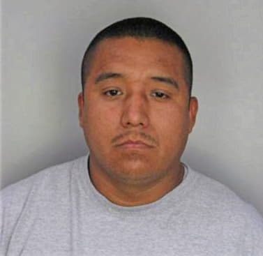 Ramirezvilleda Marcelino - Hillsborough County, FL 