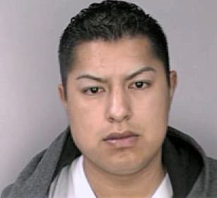Sanchez Raul - Hillsborough County, FL 