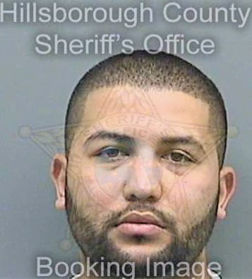 Lozada Anthony - Hillsborough County, FL 