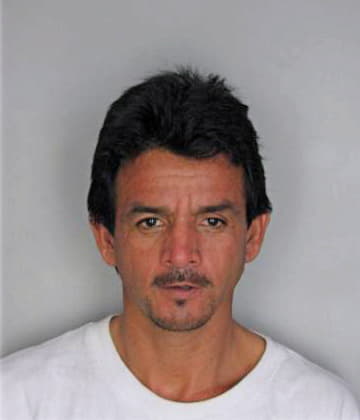 Ruizalonso Jose - Hillsborough County, FL 