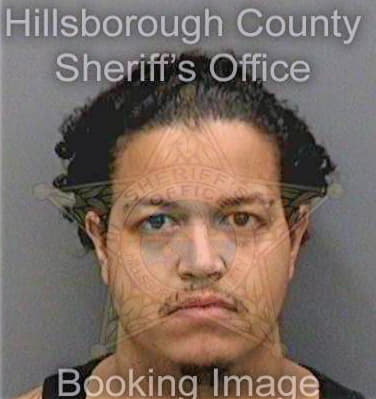 Cardona Mark - Hillsborough County, FL 